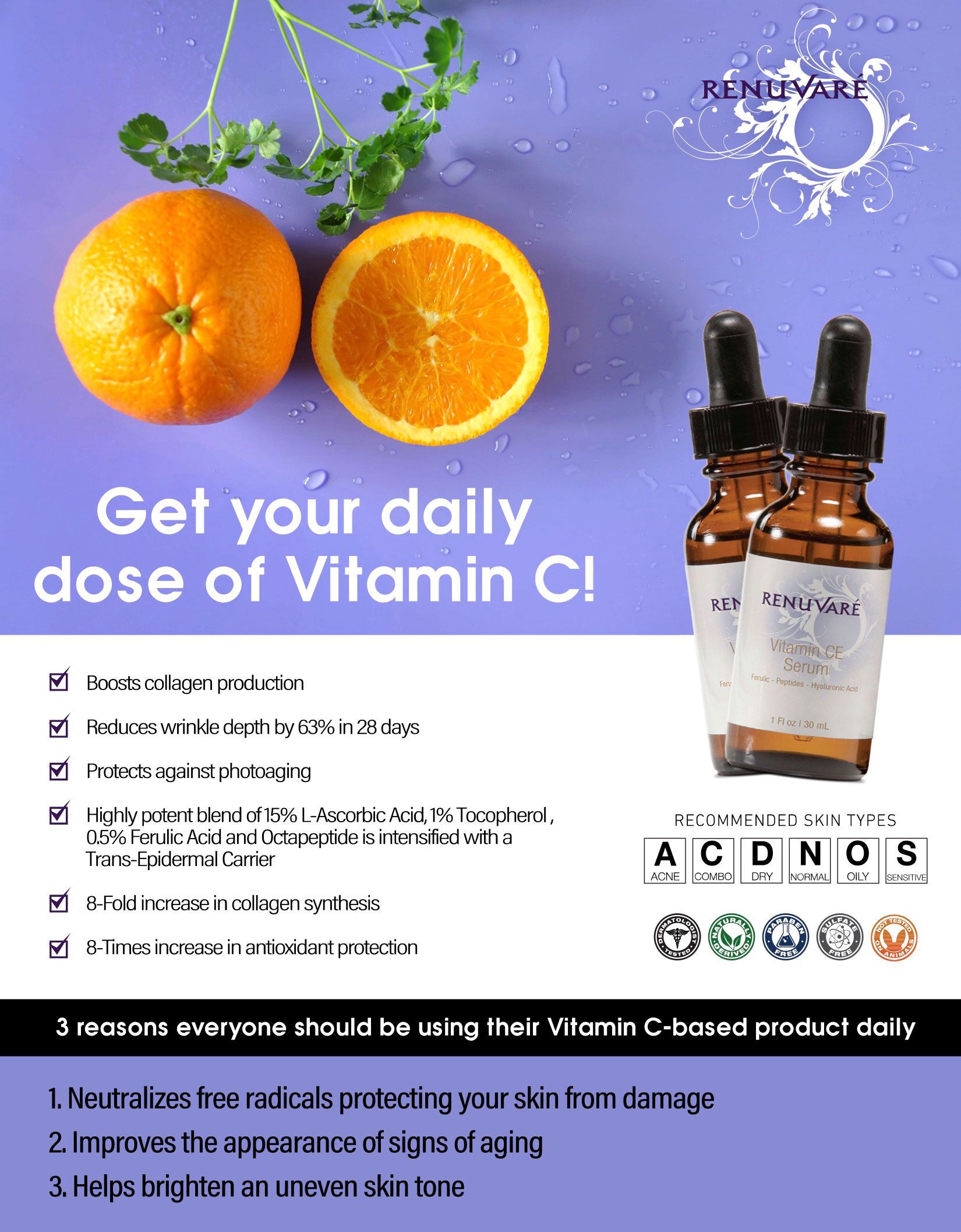 Vitamin CE Serum - Image 4
